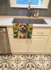 Border Terrier in Sunflowers Kitchen Towel Dish Cloths Guest Hand Towel Decorative Bathroom Towel for Face,Tea, Dishcloth, Kitchen and Bath